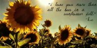 Sunflower Quotes